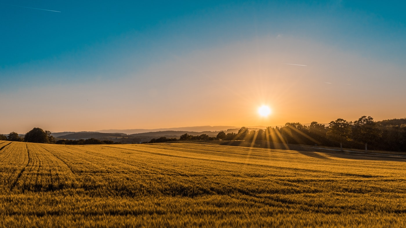 Climate-Positive Agriculture